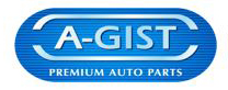 Логотип A-GIST